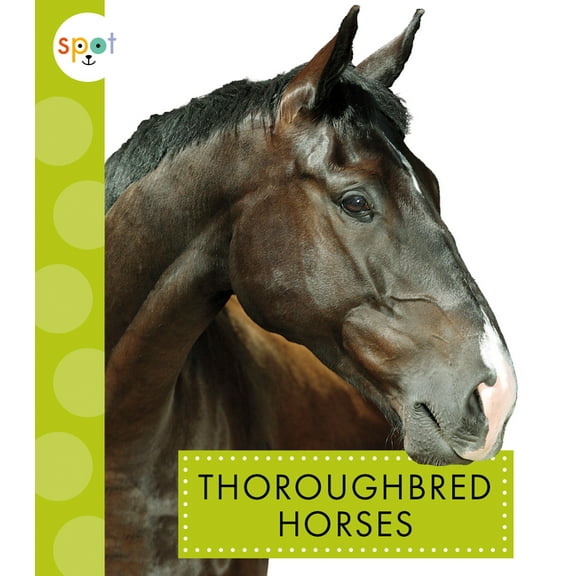 Spot Horses: Thoroughbred Horses (Paperback)
