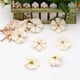 thumbnail image 1 of 50 Uds. Cabezas de flores de cerezo, surtido de flores de seda artificiales, suministros para fiesta de boda, diademas, vestido DIY, 1 of 5