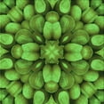 thumbnail image 1 of Ahgly Company Indoor Square Patterned Nebula Green Area Rugs, 7' Square, 1 of 6