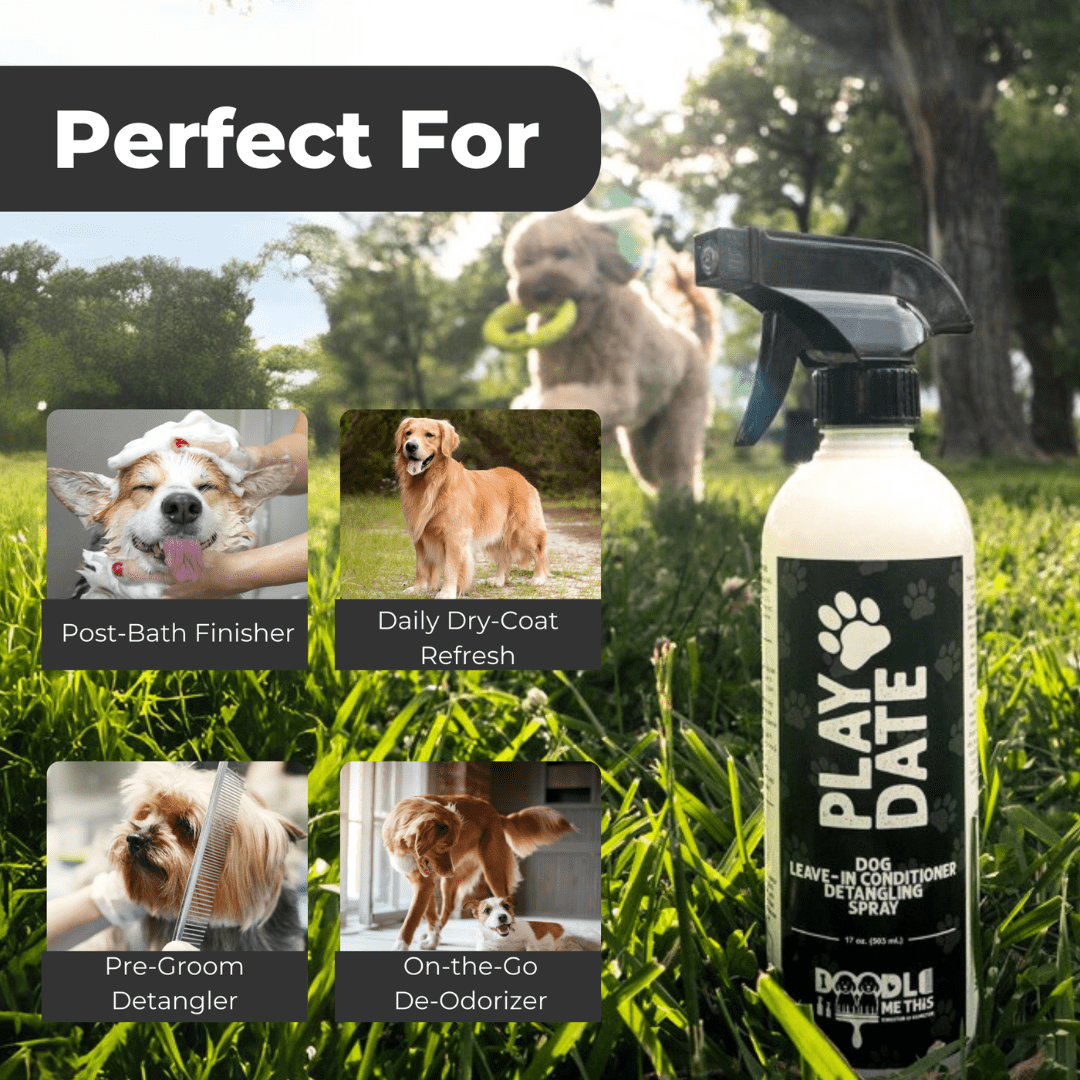 Doodle Me This Kingston & Hamilton Dog Leave in Conditioner Spray - Papaya Citrus - 17 oz
