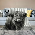 thumbnail image 2 of JEUXUS  Highland Cow Blanket, Portrait of Scotland Scottish Highland Horns Bull Cattle Throw Blanket, Highland Cow Gifts for Woman Men Girls, Cow Plush Blankets, White Grey,, 2 of 6