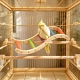 thumbnail image 1 of Wooden Parrot Ladder Bird Climbing Ramp Toy Natural Wood Hanging Activity Gym, Multicolor, for Small Birds, with Rope and Screws, 20-35 cm, 1 of 6