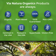 Turmeric & Ginger Capsules 1000mg | Organic Herbal Supplement | Anti-Inflammatory | 120 Capsules by Via Natura Organics