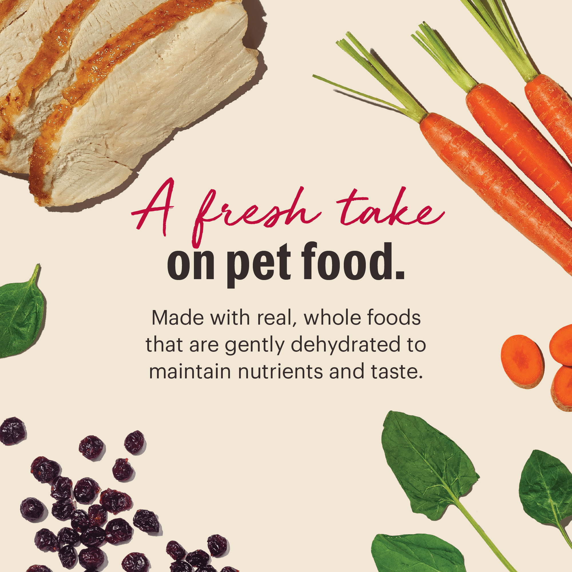 The Honest Kitchen Embark - Grain Free Turkey Dog Food - 4 lb.
