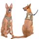 thumbnail image 3 of taille L, Brun Vert , Harnais De Chien Anti Traction, Harnais Tactique Chien Respirant Rglable Facile Mettre Pour Moyen Grand Chien, Gilet Durabl, 3 of 5