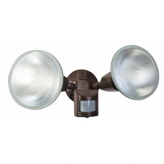 Bronze Motion Floodlight