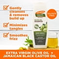 thumbnail image 6 of Palmer's Olive Oil Formula with Vitamin E, Smoothing Shampoo 13.50 oz, 6 of 7