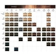 thumbnail image 4 of Igora Royal 5-00 Light Brown Natural Extra Permanent Hair Color and M Hair Designs Tint Brush (Bundle 2 items), 4 of 5