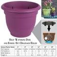 thumbnail image 2 of Bloem Ariana Self Watering Planter 10" Passion Fruit, 2 of 2