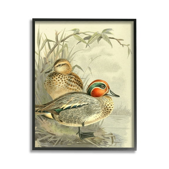 Stupell Industries Ducks with Pond Botanicals Animals & Insects Painting Black Framed Art Print Wall Art, 11 x 14