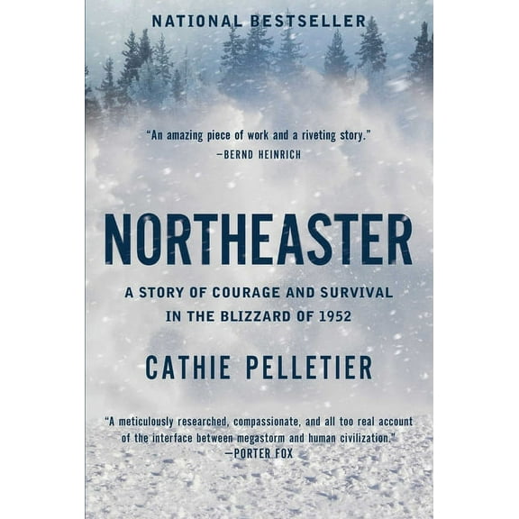 Northeaster: A Story of Courage and Survival in the Blizzard of 1952, (Paperback)