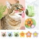 thumbnail image 2 of Bola de hierba gatera Natural giratoria para gatos, juguetes de pared para lamer bocadillos, Bola de nutrición saludable, limpieza de dientes, juguete de hierba gatera, suministros para mascotas, 2 of 4