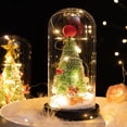 thumbnail image 1 of Ventana De Cedro Adornos De Cubierta De Vidrio Led Adornos De Navidad Regalo De Navidad Para Novia Y Amante Methold HA043967-02, 1 of 6