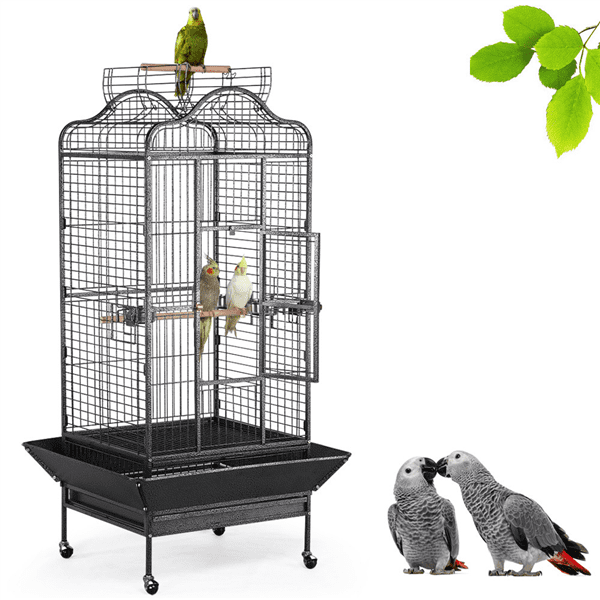 cage with bird