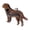 D small size, variant on Wood Pet Hair Memorials Box Customizable With Pet Name And Color For Uniqued Keepsakes Companion