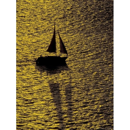 Sailing at Sunset, Ft Myers, Florida, USA Print Wall Art By Maresa