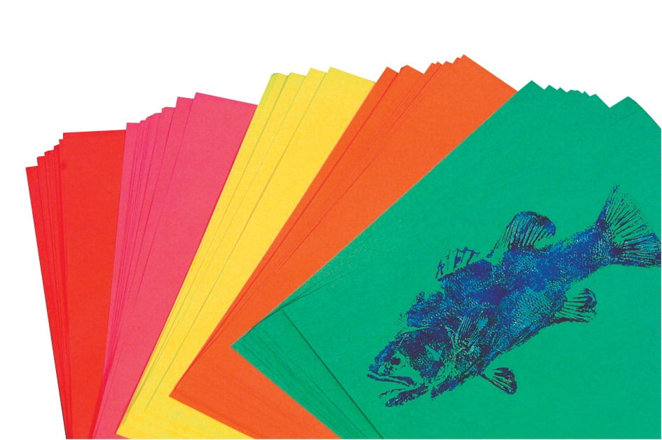 Array AcidFree MultiPurpose Bond Paper, 20 lb, 81/2 X 11 in, Multiple Bright Color, Pack of