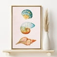 thumbnail image 2 of PixonSign Framed Canvas Print Wall Art Pastel Blue and Orange Seashell Trio Nature Ocean Illustrations Modern Art Nautical Relax/Calm Multicolor Boho Decor for Living Room, Bedroom - 16"x24", 2 of 5