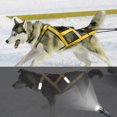 thumbnail image 1 of Fairnull Reflective Pet Harness Dog Harness for Large Dogs Adjustable Pet Chest for Outdoor Night Walking, 1 of 7