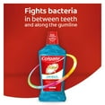 thumbnail image 2 of Colgate Total Gum Health Antiplaque Mouthwash, Clean Mint 16.9 Fl Oz (Pack of 2), 2 of 6