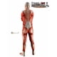 thumbnail image 4 of Cosplay de Ataque a los Titanes, cosplay de Shingeki no Kyojin, medias colosales de utilería, disfraces de Halloween para hombres musculosos, zentai para adultos, 4 of 4