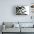 thumbnail image 3 of Blue Palomino 'Palm Fronds' Canvas Art, 3 of 3