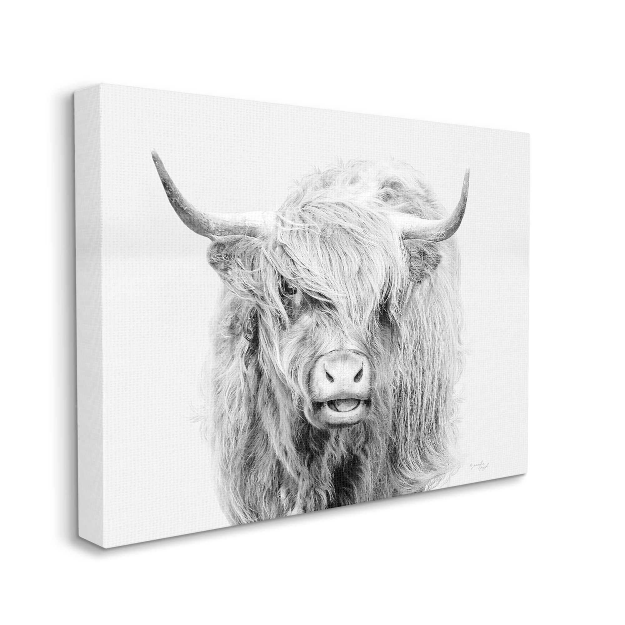 Stupell Industries Expressive Highland Cattle Monochrome Animal Portrait Photograph Gallery Wrapped Canvas Print Wall Art, Design by Jennifer Pugh