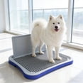 thumbnail image 6 of HOARBOEG Dog Potty Tray with Spatter Guard - Indoor Dog Toilet with Removable Grid, Pee Pad Holder for Small Medium Large Dogs, Housebreaking Training Litter Box, 6 of 6