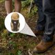 thumbnail image 4 of Greenadscape 20Ud Decorativos Para Cordones De Botas Materiales Duraderos Para Outdoor, 4 of 7