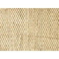 thumbnail image 1 of Ahgly Company Indoor Rectangle Contemporary Brown Gold Solid Area Rugs, 5' x 7', 1 of 6