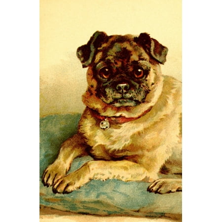 tale pugs tales pug canvas e stuart hardy 18 x 24 walmart tale pugs tales pug canvas e stuart hardy 18 x 24 walmart