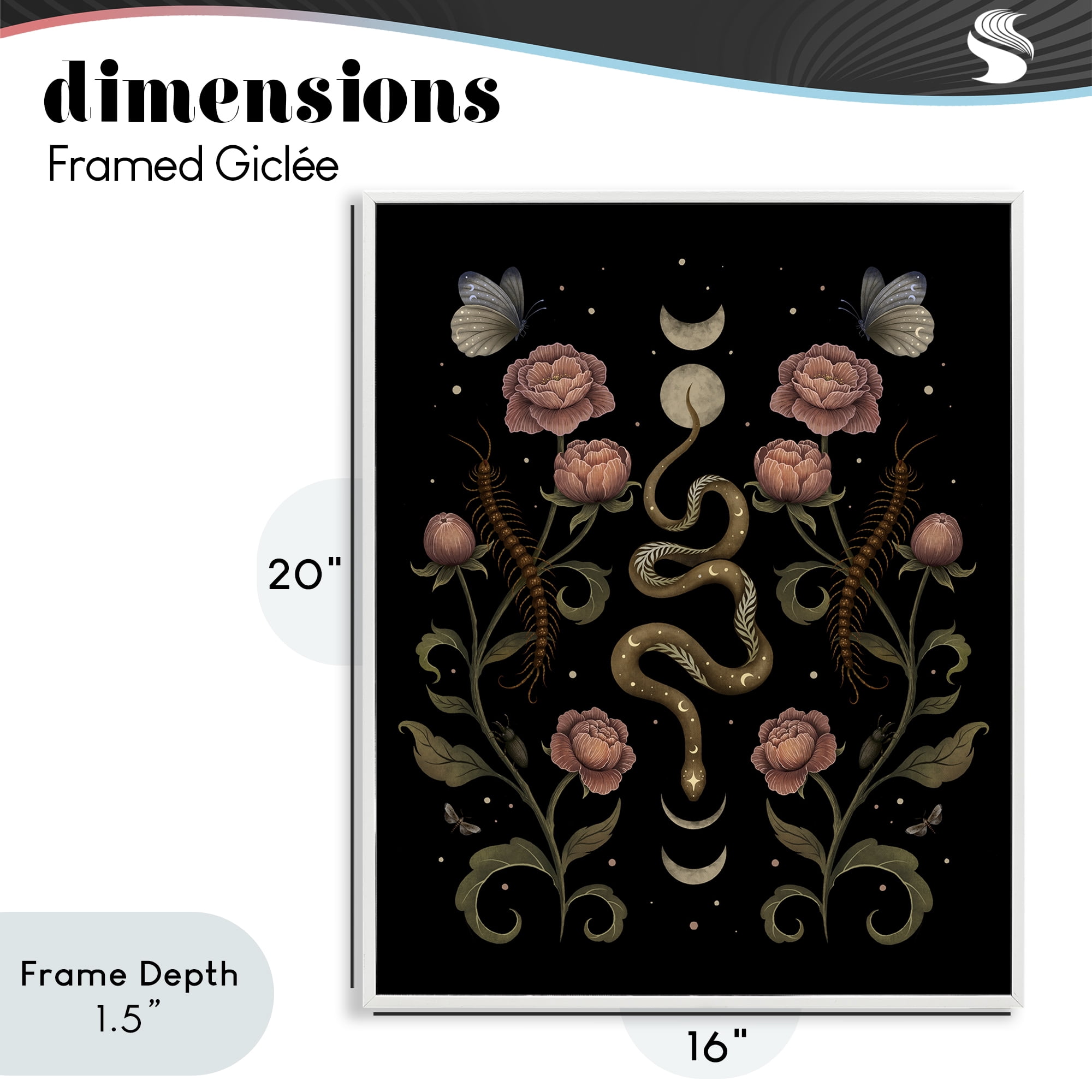 Stupell Industries Serpentine Garden Symmetry White Framed Giclee Art, design by Episodic Drawings