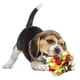 thumbnail image 3 of Bola de Snuffle Yuyangstore Duradera para Perros Juegos Interactivo 4 colores, 3 of 8