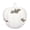 White-1, variant on Bat Cutout Resin Pumpkin Jack O' Lantern, Halloween Fall Lantern Ornament with Warm Glow, Farmhouse Table Decor for Porch Mantel, Black White Available