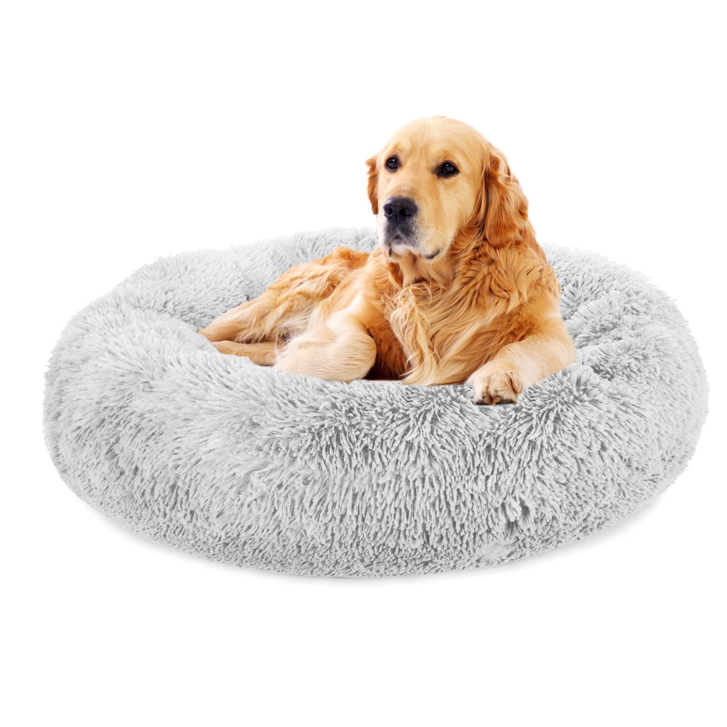 comfy calming bed