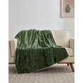 thumbnail image 1 of Twister.CK Electric Blanket Throw, Heated Blanket with 4 Heat Settings & 4H Auto Off, 50"×60" Velvet Soft Fast Heating Blankets, Green, 1 of 9