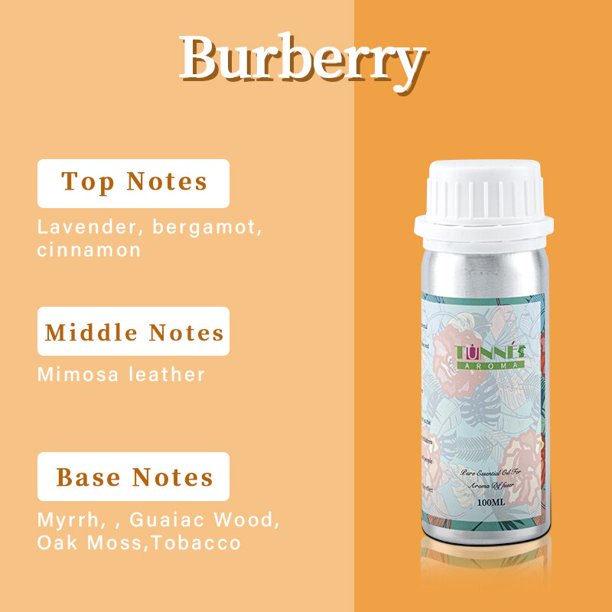 Difusor de aceites esenciales para el hogar, ambientadores aromáticos puros, Serie de perfumes, 100ml Fivean unisex
