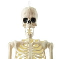 thumbnail image 3 of 74" Franken Skeleton, Lifesize Halloween Posable Skeleton for Outside, 3 of 7