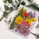 thumbnail image 3 of Advancent Artesanía de flores secas naturales Flores prensadas Ramos en relieve Decoración para tarjetas de boda Pintura de álbum de recortes Flores artificiales Typ 2 Advancent HA010760-02, 3 of 6