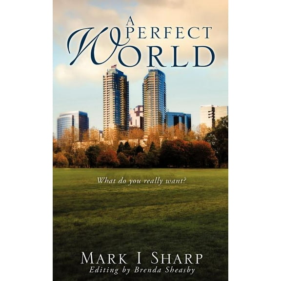 A Perfect World, (Paperback)