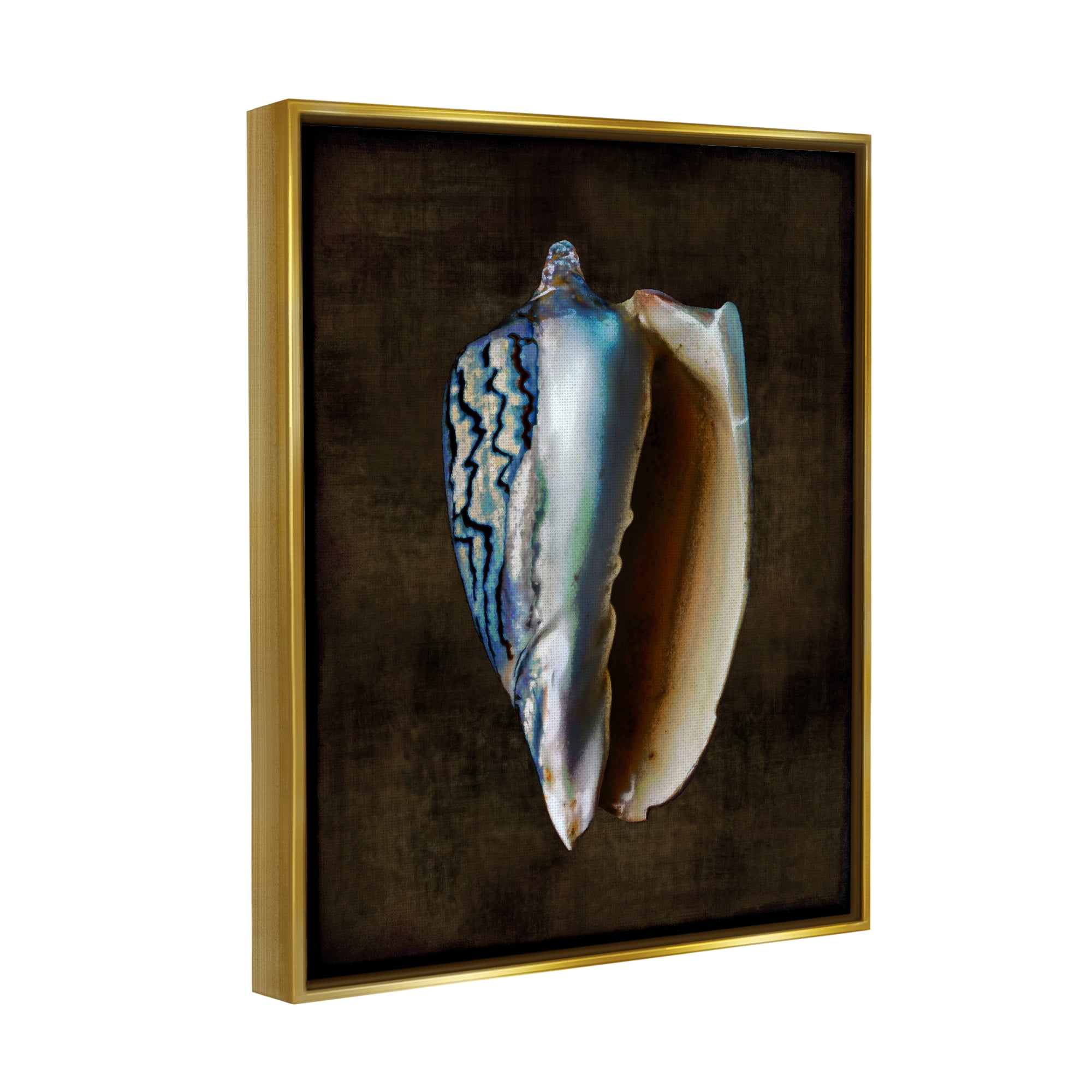 Stupell Industries Conch Shell on Black Nature Painting Gold Floater Framed Art Print Wall Art, 25 x 31