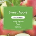 thumbnail image 4 of Mainstays 3-Wick Glass Jar Candle, Sweet Apple, Green, 11.5 oz, 4 of 11