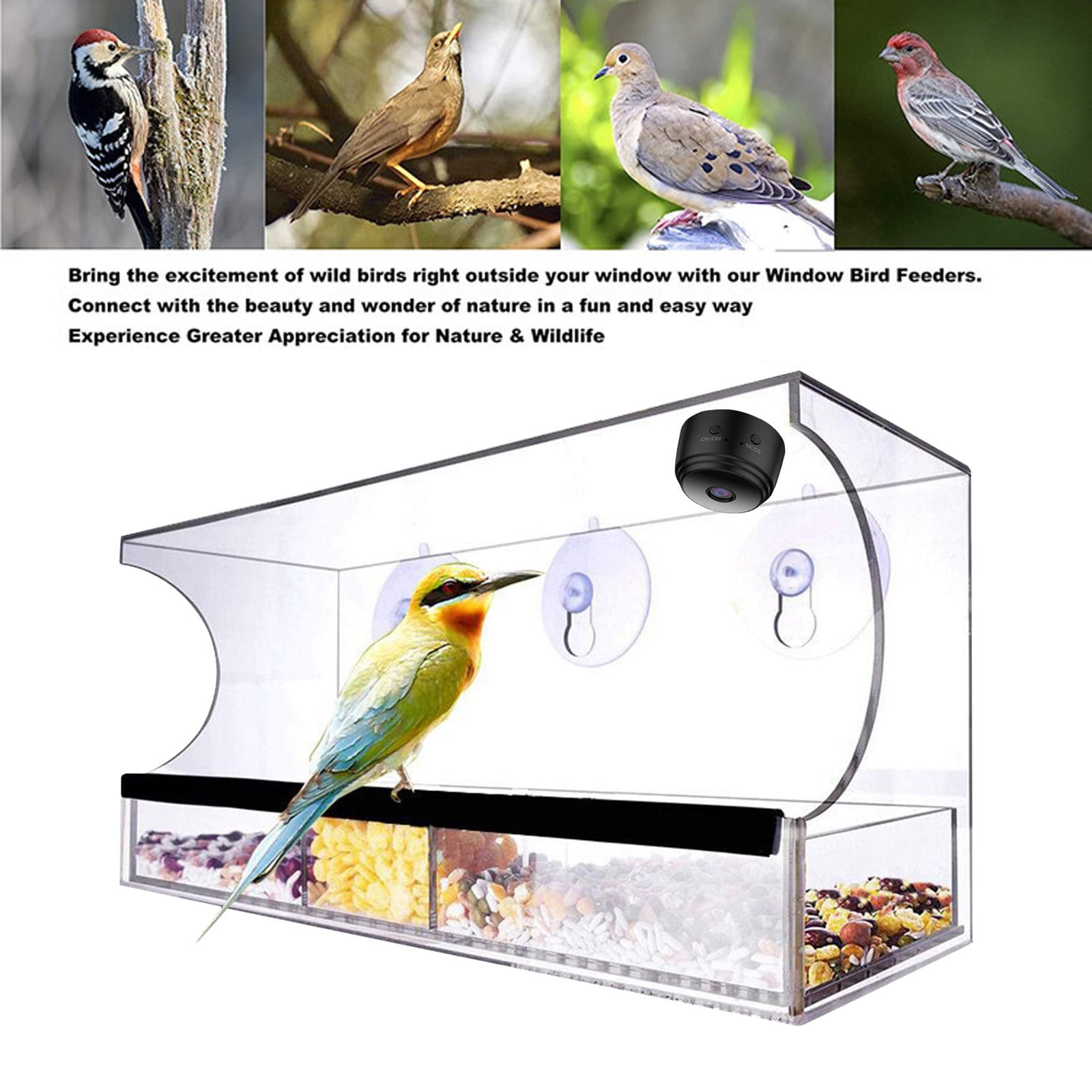 LongHanMao Smart Bird Feeder with Camera Solar Powered, AI Identify Bird Species 1080 HD Auto Capture Bird Feeder Camera, Real Time Views and Notifications, Gift for Bird Lovers