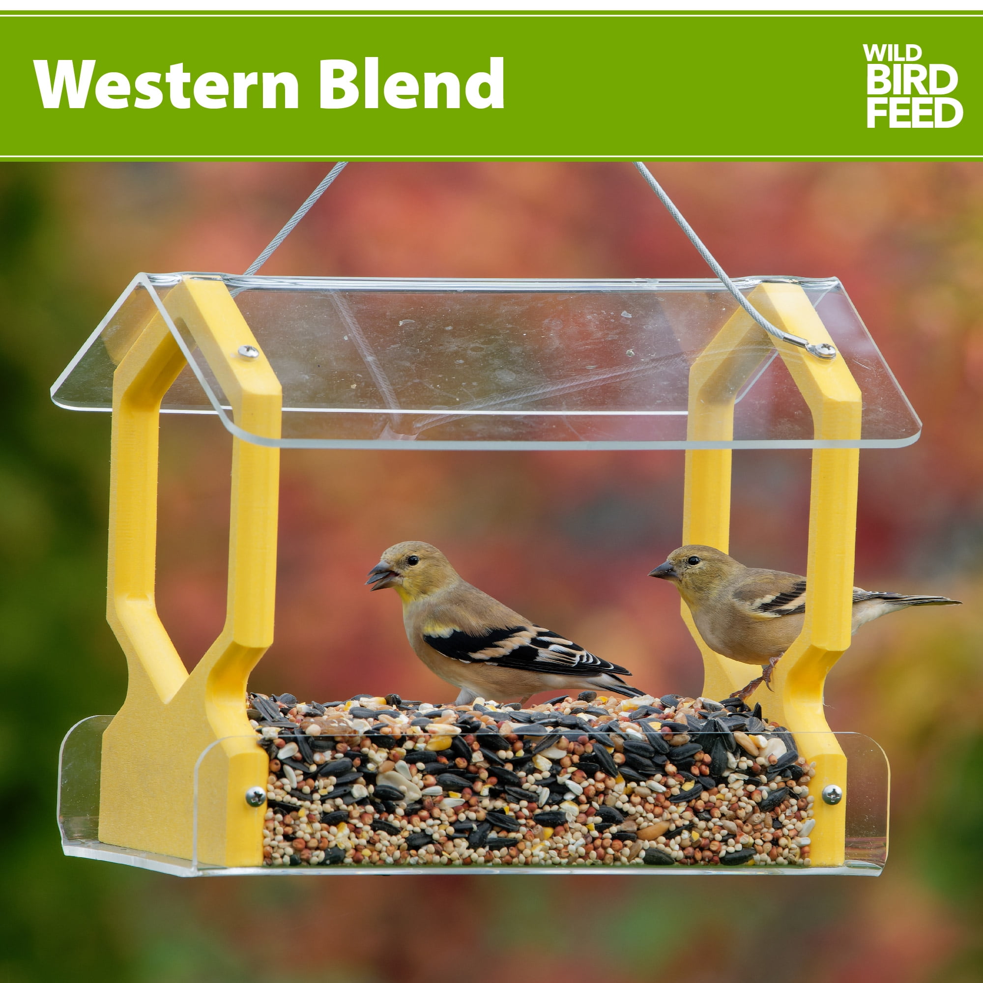 (3 pack) Western Regional Blend Wild Bird Food, Dry, 1 Count per Pack, 5 lb. Bag
