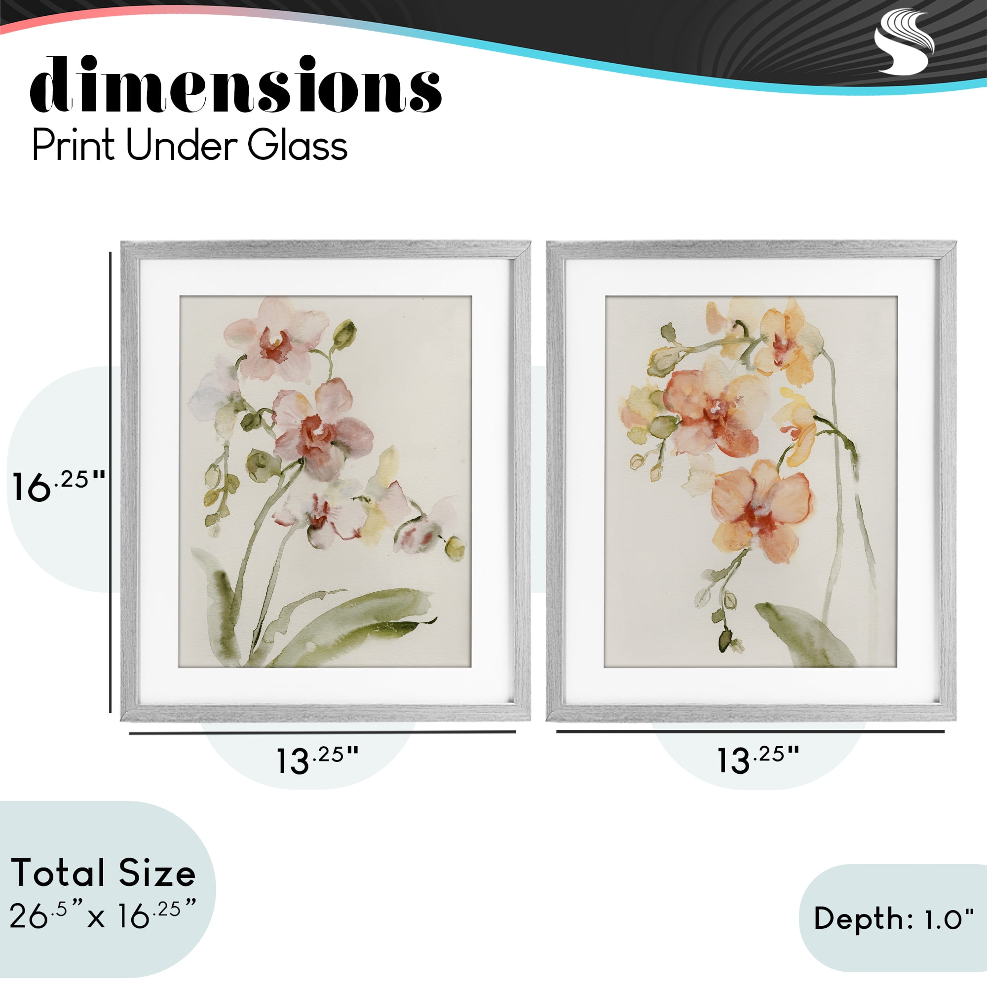Stupell Industries Delicate Orchids in Bloom 2 Piece Gray Framed Print Under Glass Set, design by Victoria Barnes
