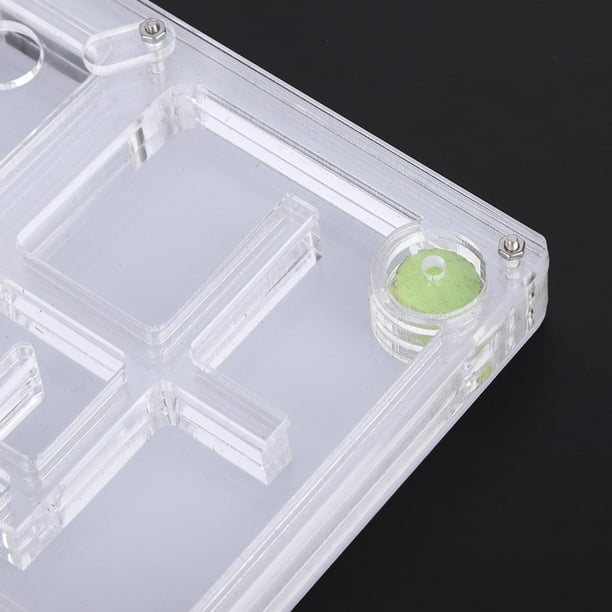 A Sixx Hormiguero De Acrílico Transparente Para Observar El Comportamiento De Las Hormigas | Caja De Cría Formicarium Con Cuentagotas Y Abrazadera, Juguete Científico Educativo Para Niños