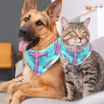 thumbnail image 4 of Easter Pack of Two Translucent Chiffon Yarn Cat Scarves - Breathable Pet Collars Set - 16x16x22.8 in and 20.9x20.9x30 in Sizes, 4 of 5