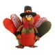 thumbnail image 1 of Muñeca De Pavo De Otoño De Muñeca Enana De Acción De Gracias Decoración De Acción De Gracias De Cosecha Cateissary HA041437-02, 1 of 6