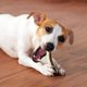 thumbnail image 5 of Juguetes para masticar CHAO paquete de 2 huesos indestructibles sabor carne para perros grandes, 5 of 5