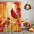 thumbnail image 2 of Shower Curtain 48"W x 72"L Cardinals Maple Leaves Autumn Thanksgiving Fabric Shower Curtains Set with Hooks Water Repellent Bathroom Curtains Machine Washable Bathroom Accessories, 2 of 6